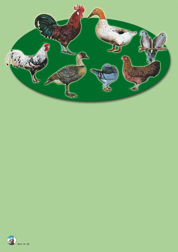 Plakat "Rassegeflügelzucht" grün DIN A 3 (29,7x42,0 cm)