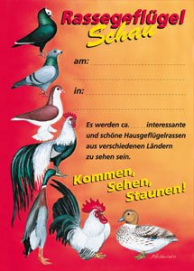 Plakat "Rassegeflügelschau" DIN A3 (29,7x42,0 cm)