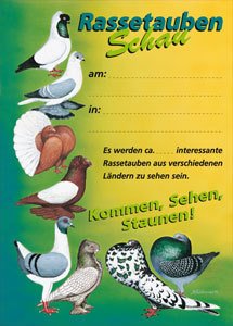 Plakat "Rasse-taubenschau" DIN A 3 (29,7x42,0 cm)