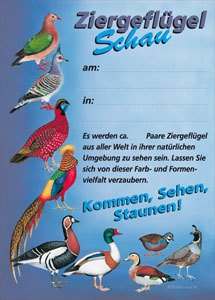 Plakat "Zier-geflügelschau" DIN A 3 (29,7x42,0 cm)