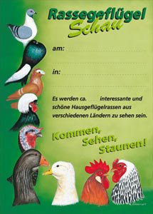 Plakat "Rassegeflügelschau 2" (47,5x67,0 cm)