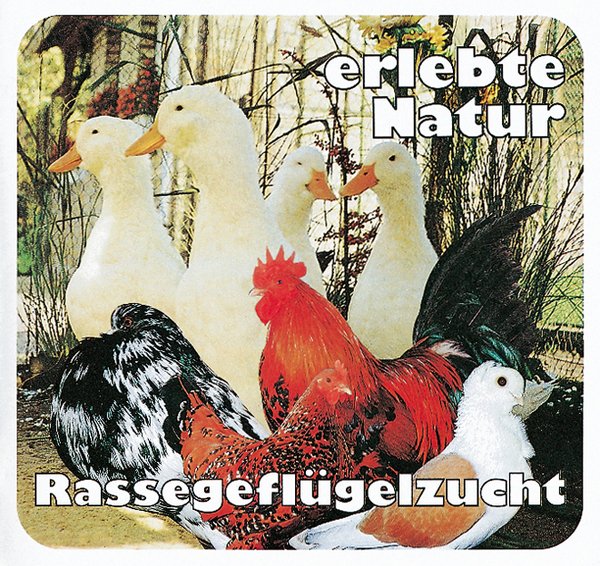 Broschüre – "erlebte Natur Rassegeflügelzucht" – 10 Stück